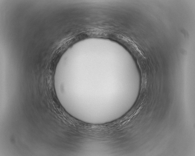 X0000116321350200912010936
