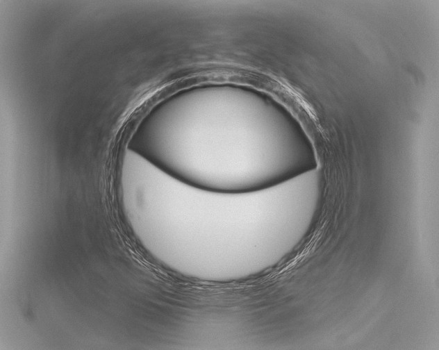 X0000116321352200912010936