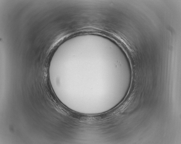 X0000116321355200912010936