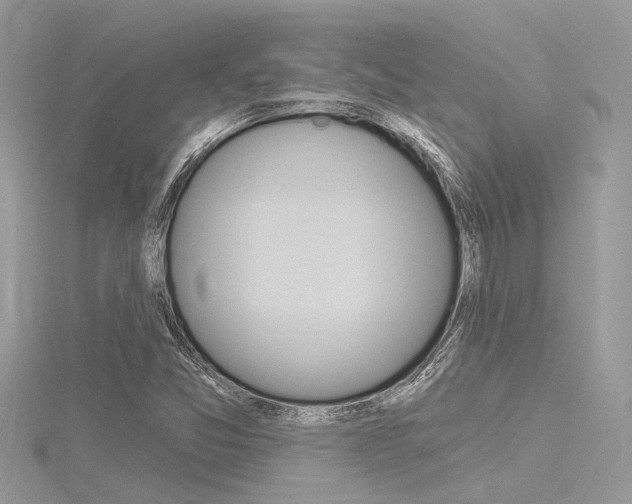 X0000116321357200912010936
