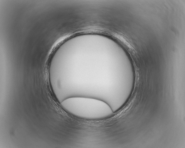 X0000116321358200912010936