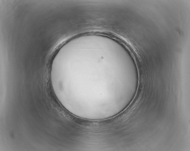 X0000116321359200912010936