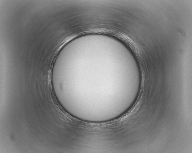 X0000116321361200912010935