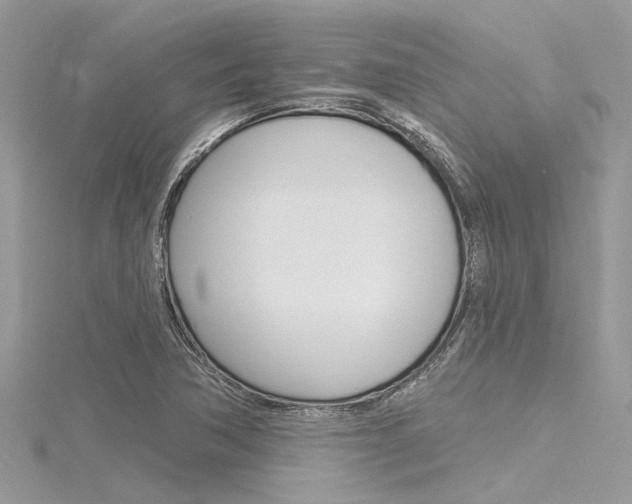 X0000116321362200912010935