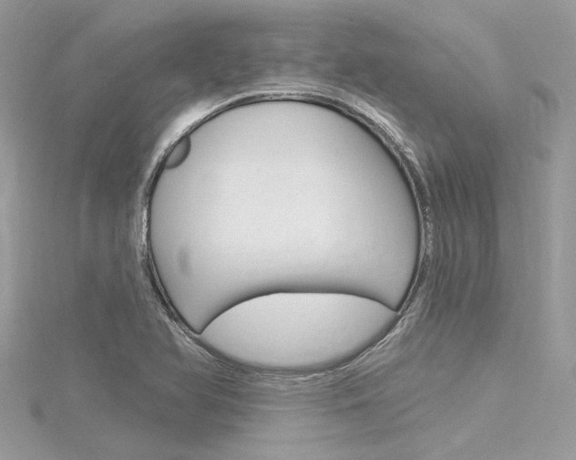 X0000116321366200912010935