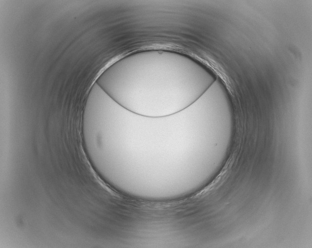 X0000116321377200912010935