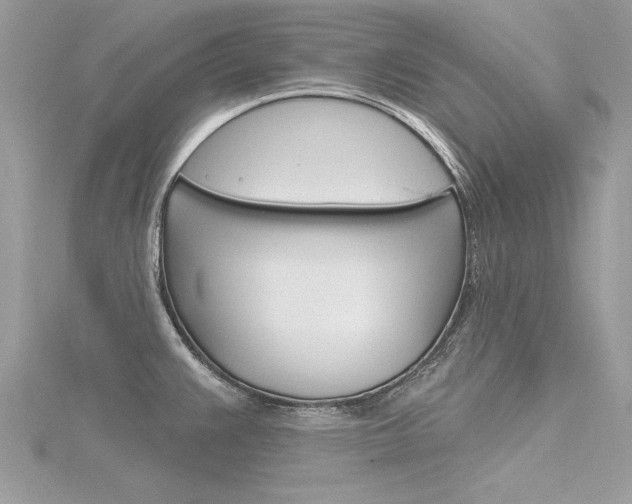 X0000116321383200912010935