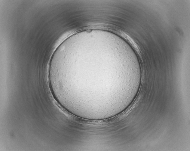 X0000116321386200912010935