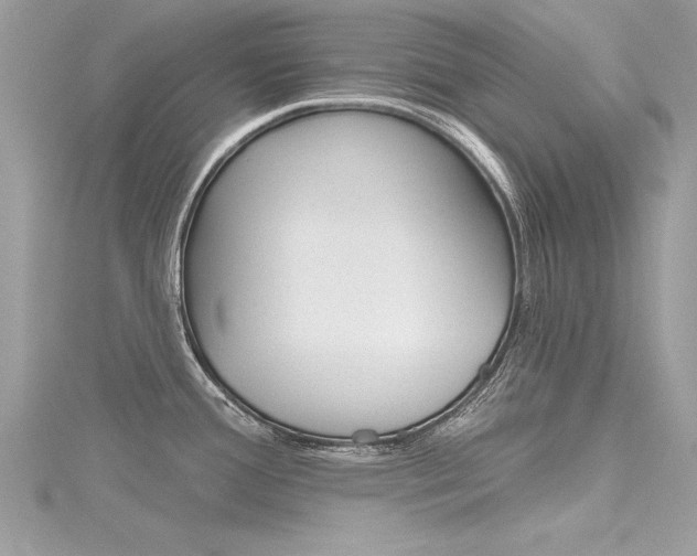 X0000116321388200912010935