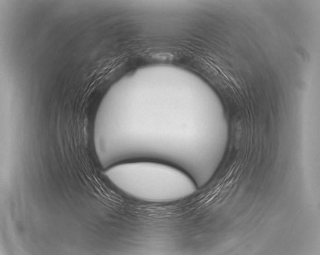 X0000116321394200912010934
