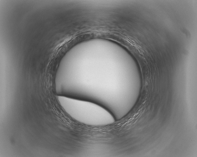X0000116321398200912010935