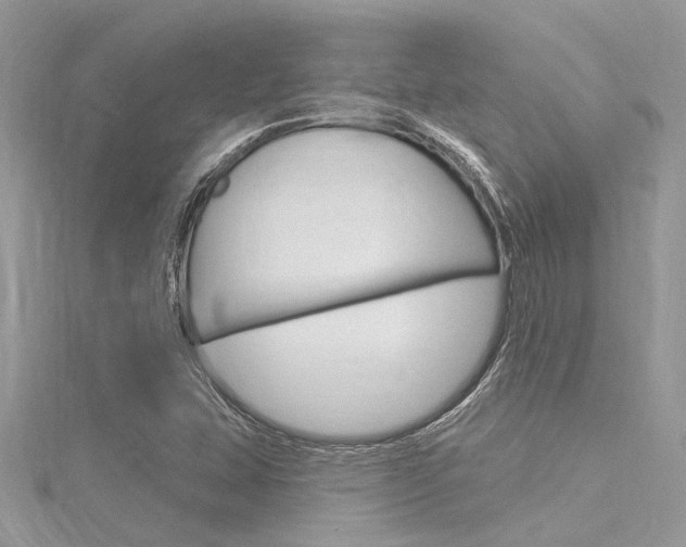 X0000116321407200912010935