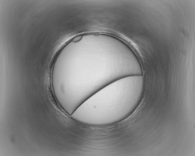 X0000116321415200912010935