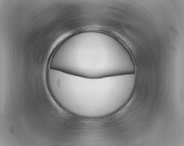 X0000116321418200912010935
