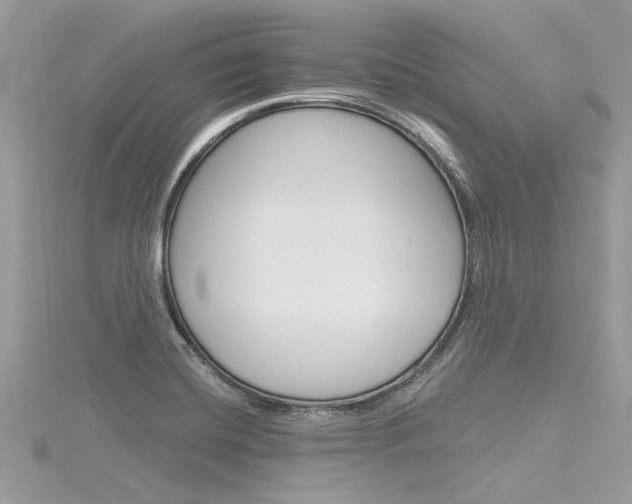 X0000116321420200912010935