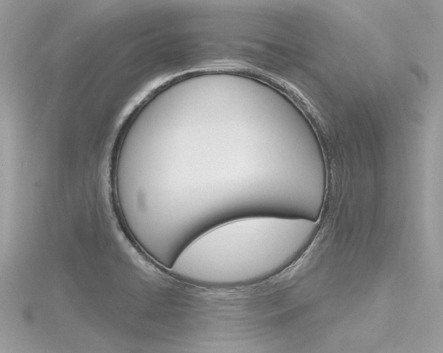 X0000116321422200912010935