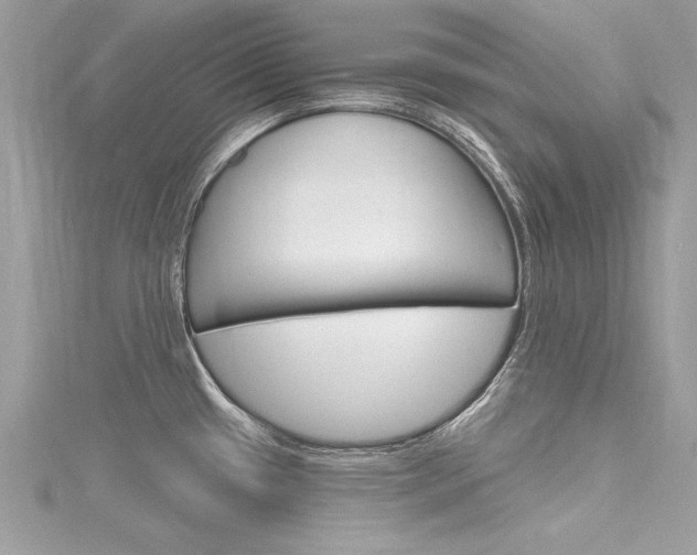X0000116321433200912010935