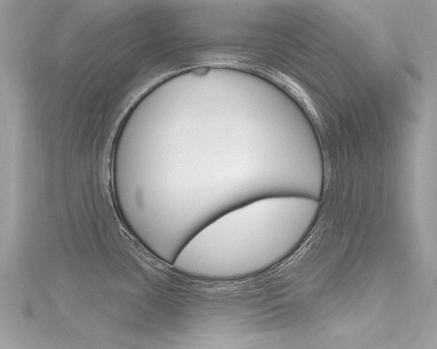 X0000116321435200912010935