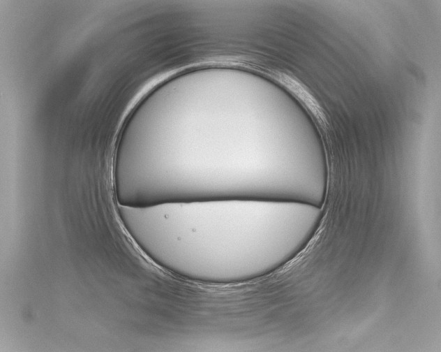 X0000116321436200912010935