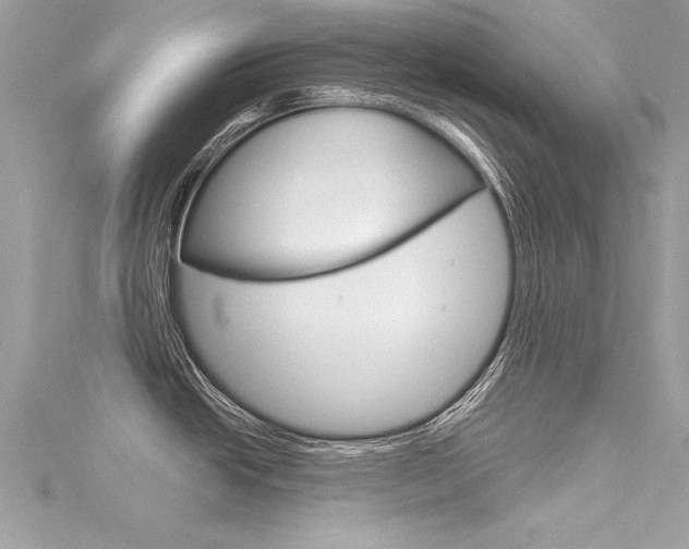 X0000116321438200912010935