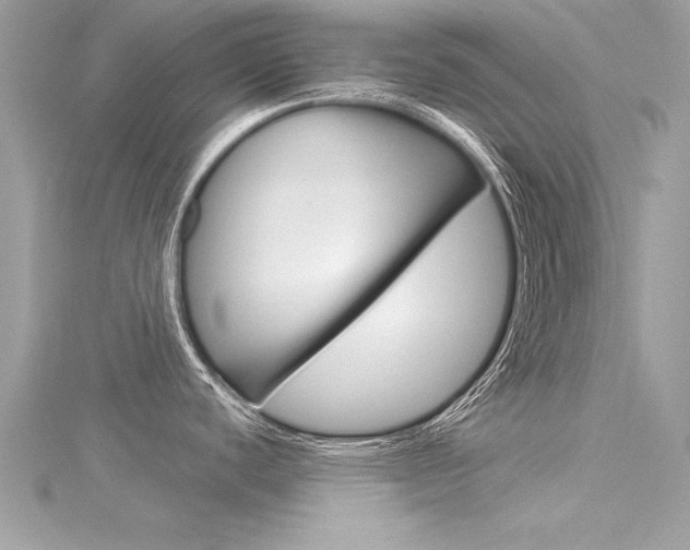 X0000116321440200912010935
