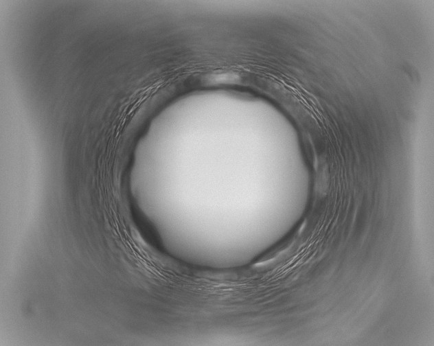 X0000116321441200912010934
