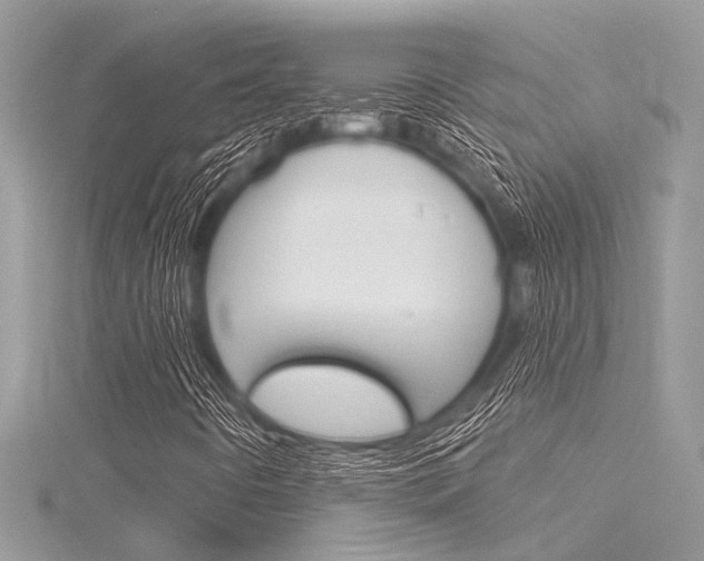 X0000116321442200912010934