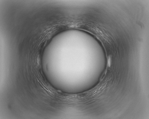 X0000116321444200912010934