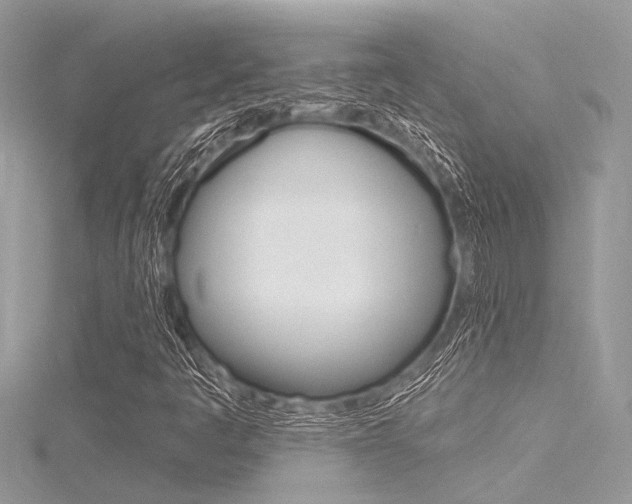 X0000116321445200912010934