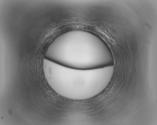 X0000116321447200912010934