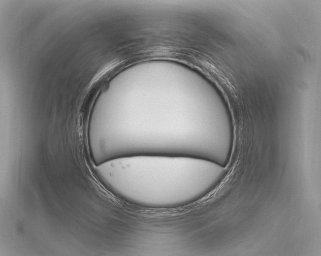 X0000116321450200912010934