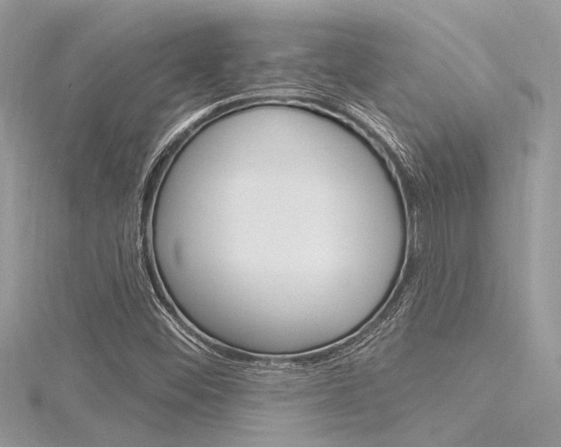 X0000116321452200912010934