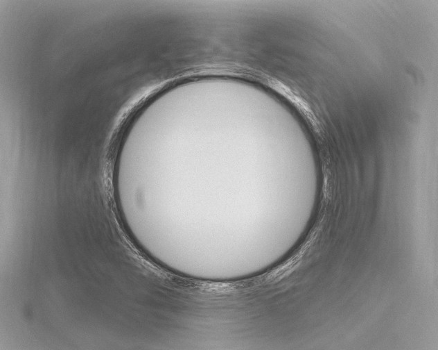 X0000116321454200912010934