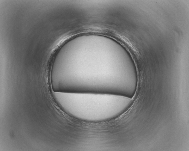 X0000116321455200912010934