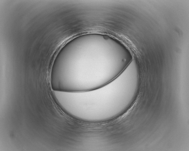X0000116321457200912010934