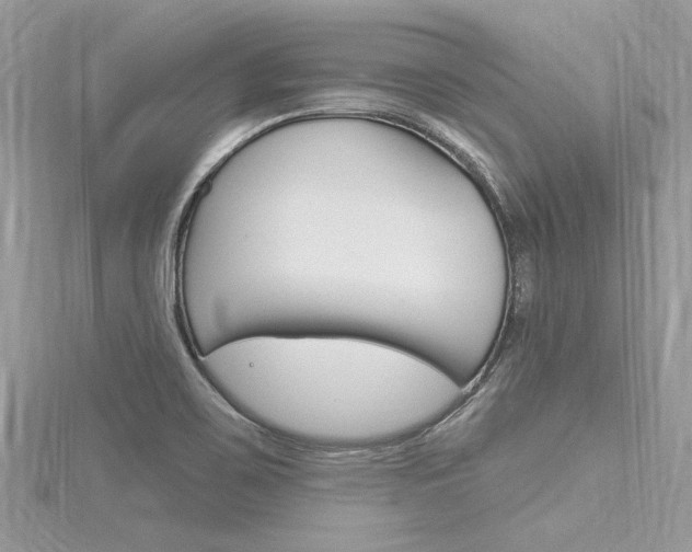 X0000116321467200912010934
