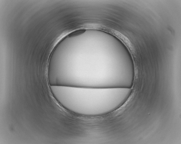 X0000116321473200912010934