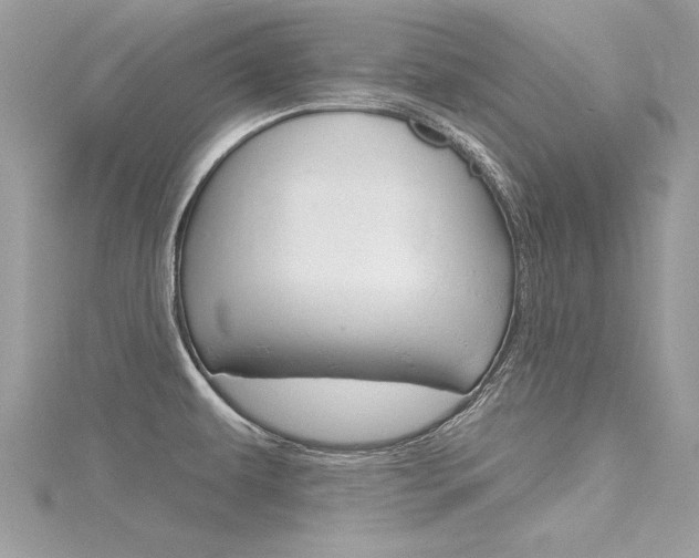X0000116321479200912010934