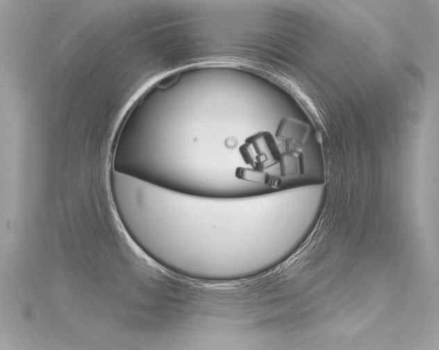 X0000116321484200912010934
