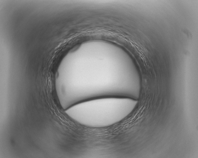 X0000116321493200912010933