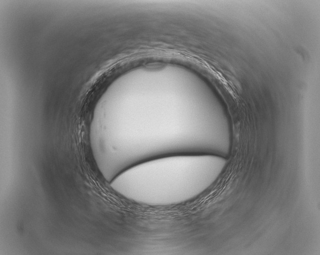 X0000116321495200912010933