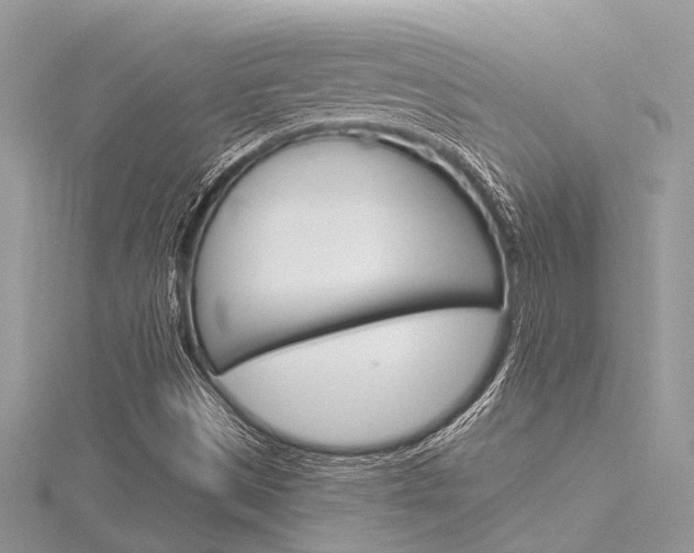 X0000116321497200912010933