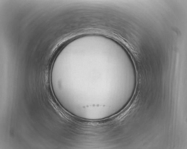 X0000116321499200912010933