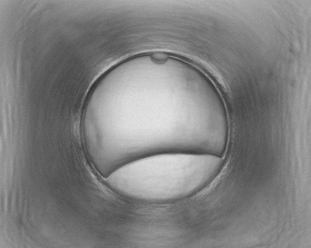 X0000116321513200912010934