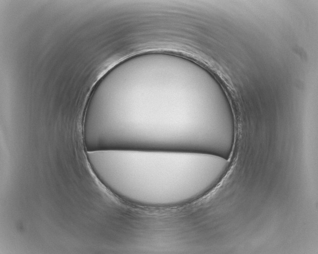 X0000116321521200912010934
