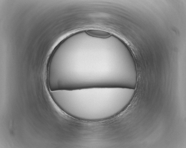 X0000116321523200912010934