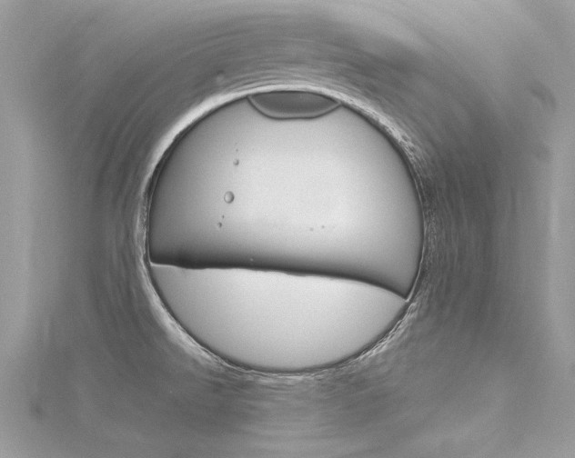 X0000116321526200912010934