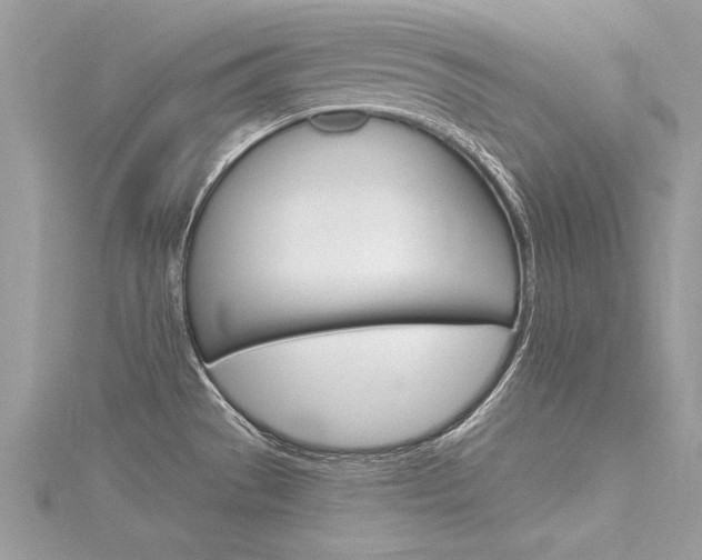 X0000116321529200912010934