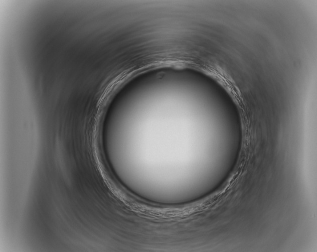 X0000116320001200912011122