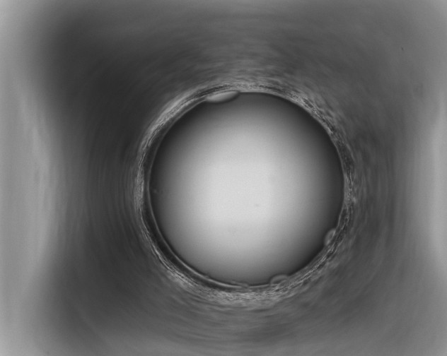 X0000116320005200912011122